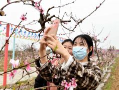 新蔡县：乡村迎来旅游热