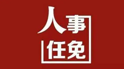 河南任免一批领导干部，涉国资委副主任、多家国企高管