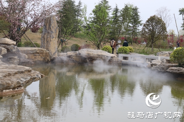 西平县百万株海棠花开迎客来