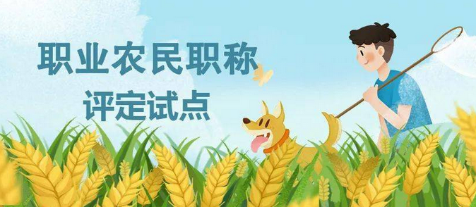 农民职称评定试点调研：谁能申报？评上后怎么干？