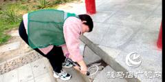 开发区城市管理局：提升园林景观 助力创文冲刺