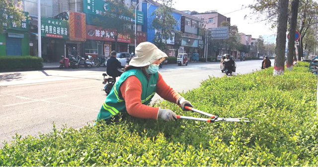 开发区城市管理局：提升园林景观 助力创文冲刺