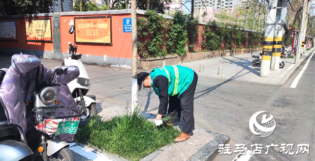 开发区城市管理局：提升园林景观 助力创文冲刺