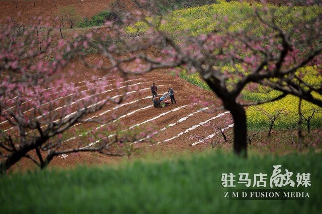 微信图片_202304031201505.jpg