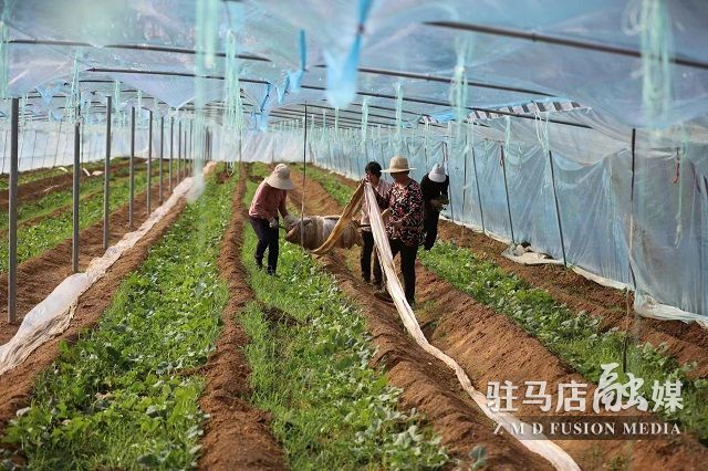 微信图片_202304031201501.jpg