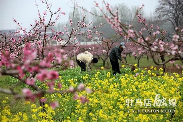 微信图片_20230403120150.jpg