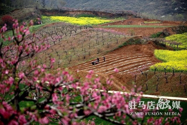 微信图片_202304031201503.jpg
