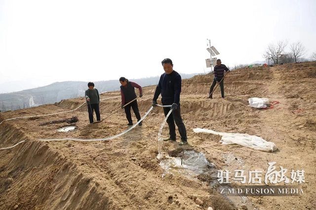 微信图片_202304031201502.jpg