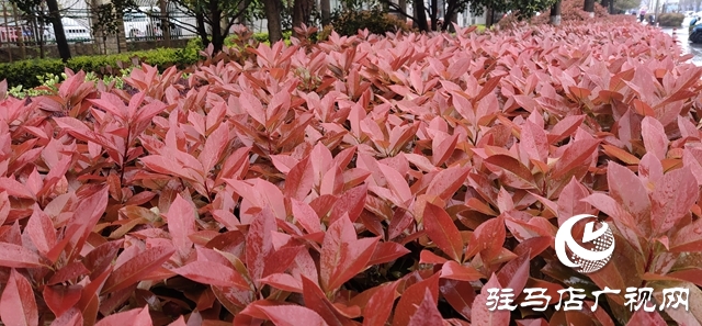  降温、降雨！市民出行注意防范