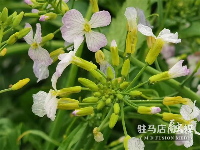 微信图片_202304040957156.jpg