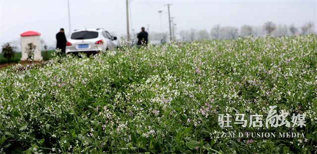 微信图片_202304040957155.jpg
