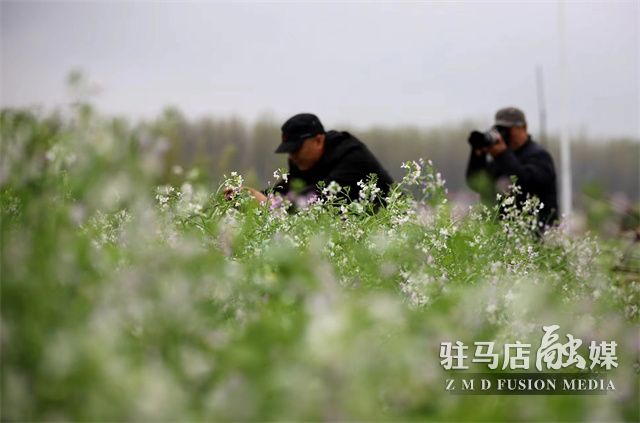 微信图片_202304040957151.jpg