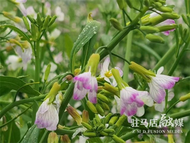 微信图片_202304040957157.jpg