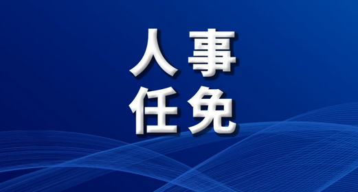 国务院任免国家工作人员：任命徐大彤为公安部副部长