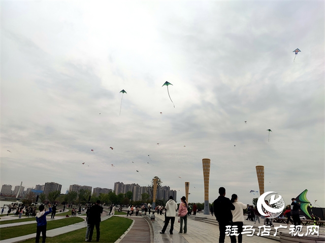 阳光明媚 春风习习 公园放风筝人气高 