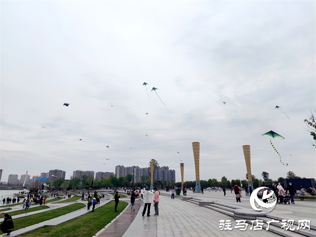 阳光明媚 春风习习 公园放风筝人气高 