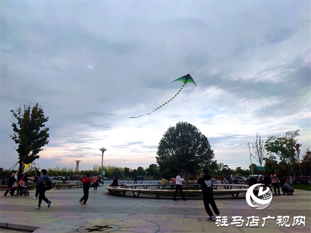 阳光明媚 春风习习 公园放风筝人气高 