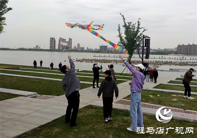 阳光明媚 春风习习 公园放风筝人气高 