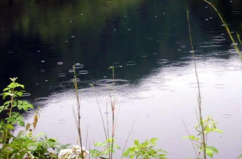 清明时节为何雨纷纷?