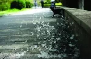 a_830328353104850945.jpeg