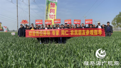重磅！吨源种业再添强势小麦品种，豫同107助农增产丰收！