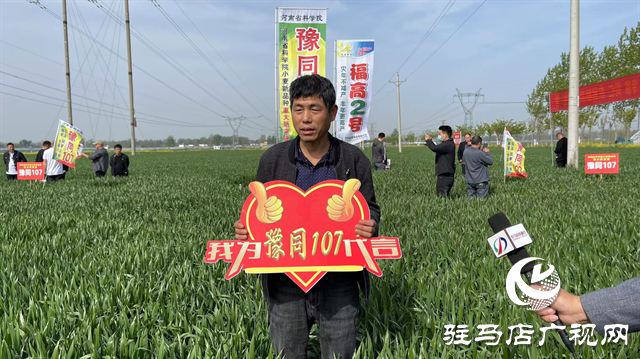 重磅！吨源种业再添强势小麦品种，豫同107助农增产丰收！