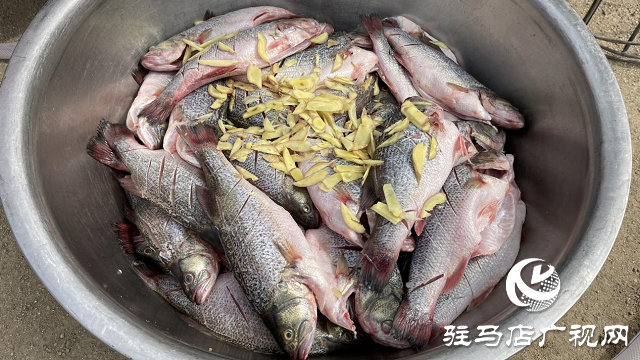 农村宴席 驻马店最温暖的记忆！