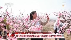 赏花、露营、看演出……“五一”临近 各地文旅消费恢复强劲
