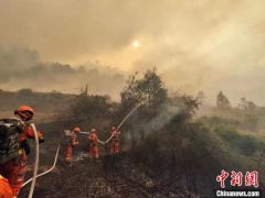 云南玉溪山火全部扑灭 火场顺利实现合围