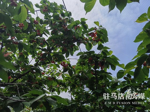 微信图片_202304161902575.jpg
