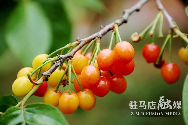 微信图片_202304161902571.jpg
