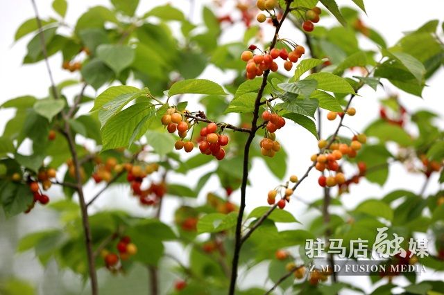 微信图片_202304161902572.jpg