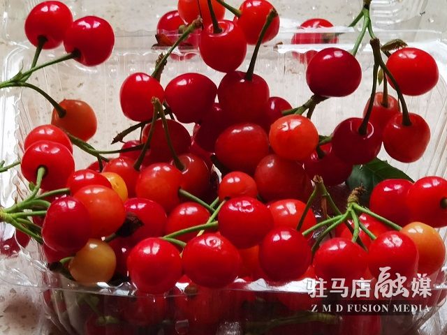 微信图片_20230416190257.jpg