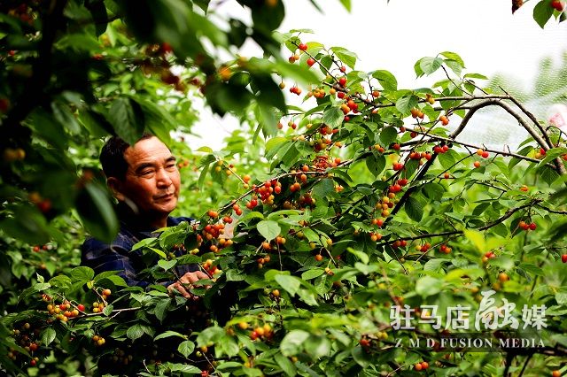 微信图片_202304161902573.jpg