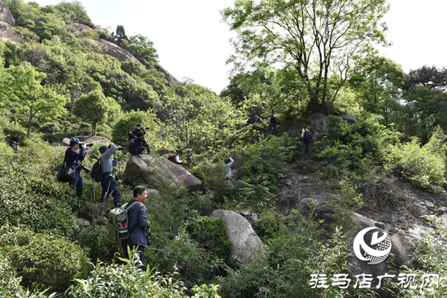 “走进莲塘古村落 与历史悠然邂逅” ——驻马店市青年摄影家协会开展摄影采风活动