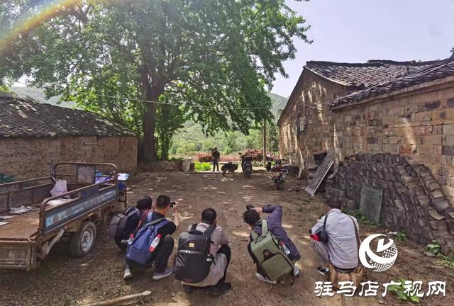 “走进莲塘古村落 与历史悠然邂逅” ——驻马店市青年摄影家协会开展摄影采风活动