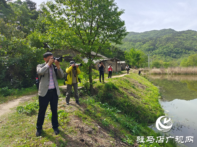 “走进莲塘古村落 与历史悠然邂逅” ——驻马店市青年摄影家协会开展摄影采风活动