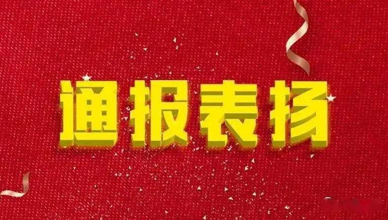 通报表扬！驻马店市人民政府刚刚发布
