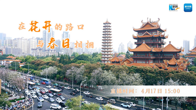 大美中国丨在花开的路口 与春日相拥
