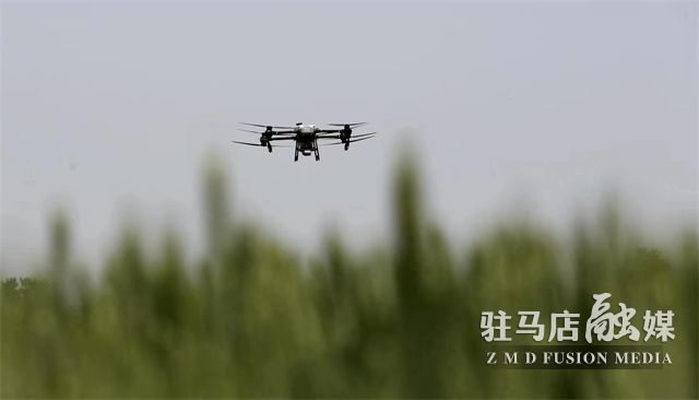 微信图片_202304181501027.jpg