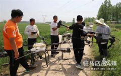 驻马店市驿城区：“飞防”为小麦丰收护航
