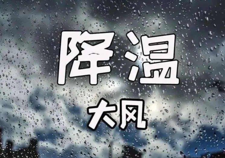 注意及时添衣！河南将迎大风+降水+强降温天气