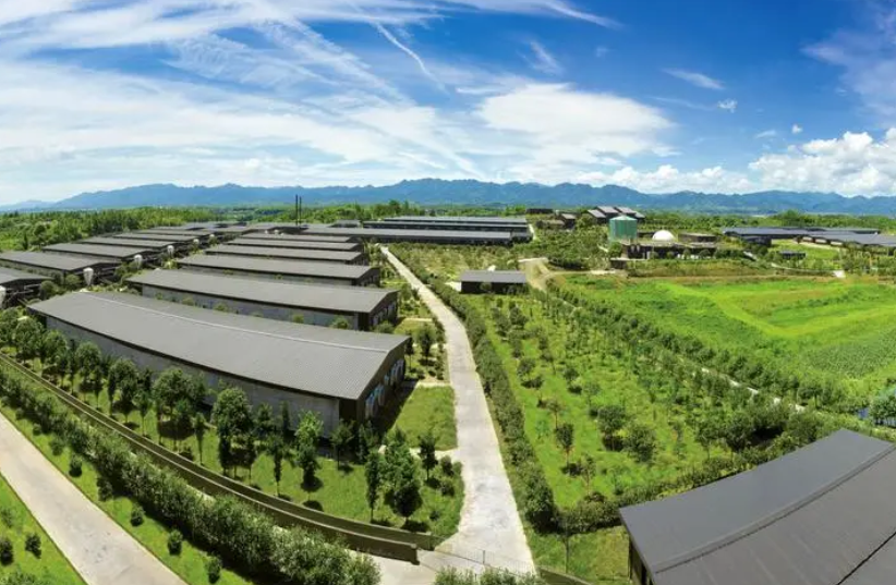 驻马店市被确定为全省2022年度畜牧业高质量发展示范市