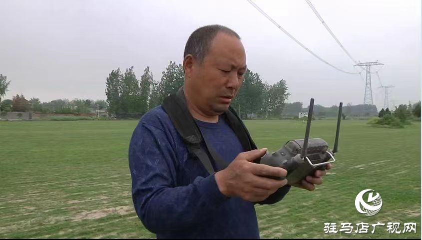 驿城区：巧借科技之力防治 助力夏粮丰产丰收