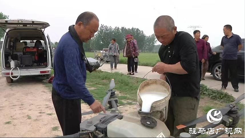 驿城区：巧借科技之力防治 助力夏粮丰产丰收