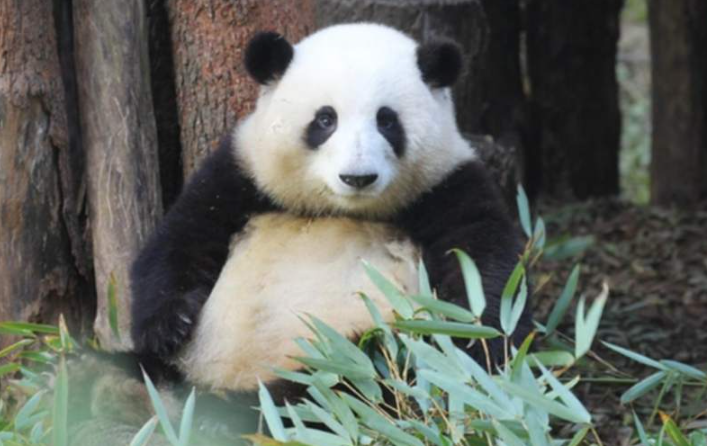 微信截图_20230505085745.png