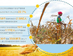 联合国粮农组织：全球粮食危机进一步加剧
