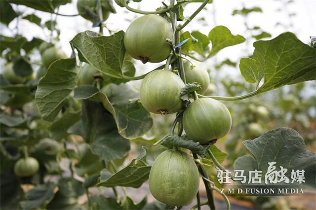 微信图片_202305061537538.jpg