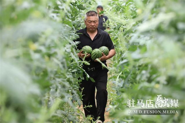微信图片_2023050615375311.jpg
