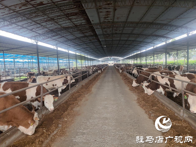 泌阳县：产业兴旺助民增收致富
